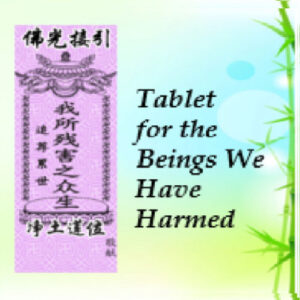 We Harmed Tablet 我们所害莲位